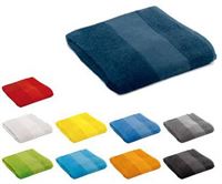 TELO SPUGNA con FASCIA 50x100 cm.